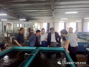 日韓專家訪問江蘇省淡水水產研究所揚中基地，共促水產技術交流與合作